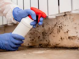 Best Industrial Mold Remediation  in South Zanesville, OH